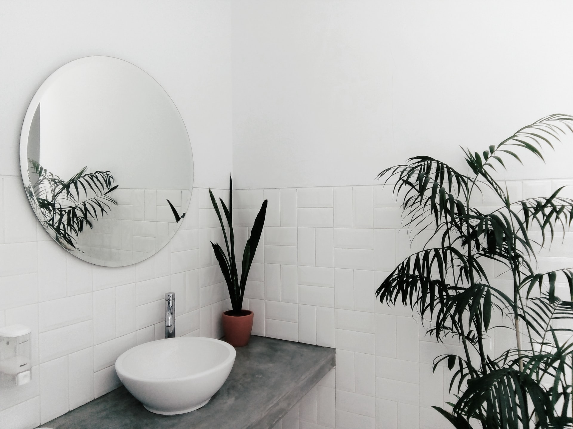 7 tips om je badkamer te decoreren met een klein budget